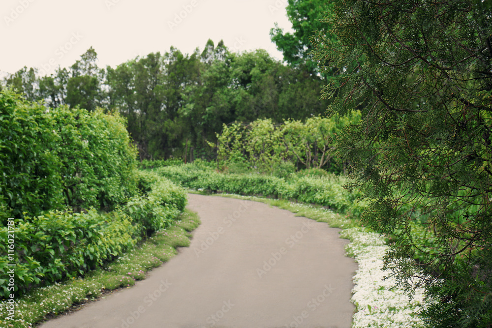 Botany park in spring