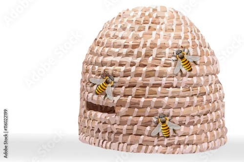 Bienenstock mit Bienen