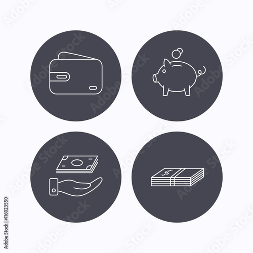 Piggy bank, cash money and wallet icons.