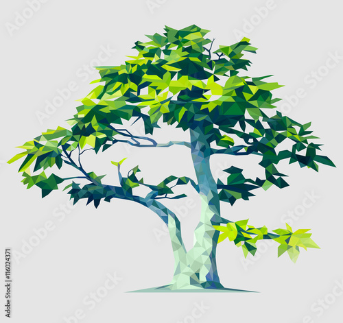 Vector polygonal tree illustration. Low poly style. Design element. Polygon stylized, based on a real tree.