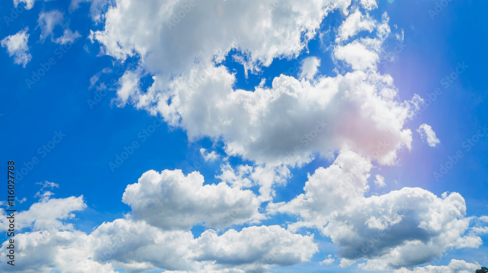 Obraz premium Green trees by the lake sunny day, with clouds on the sky