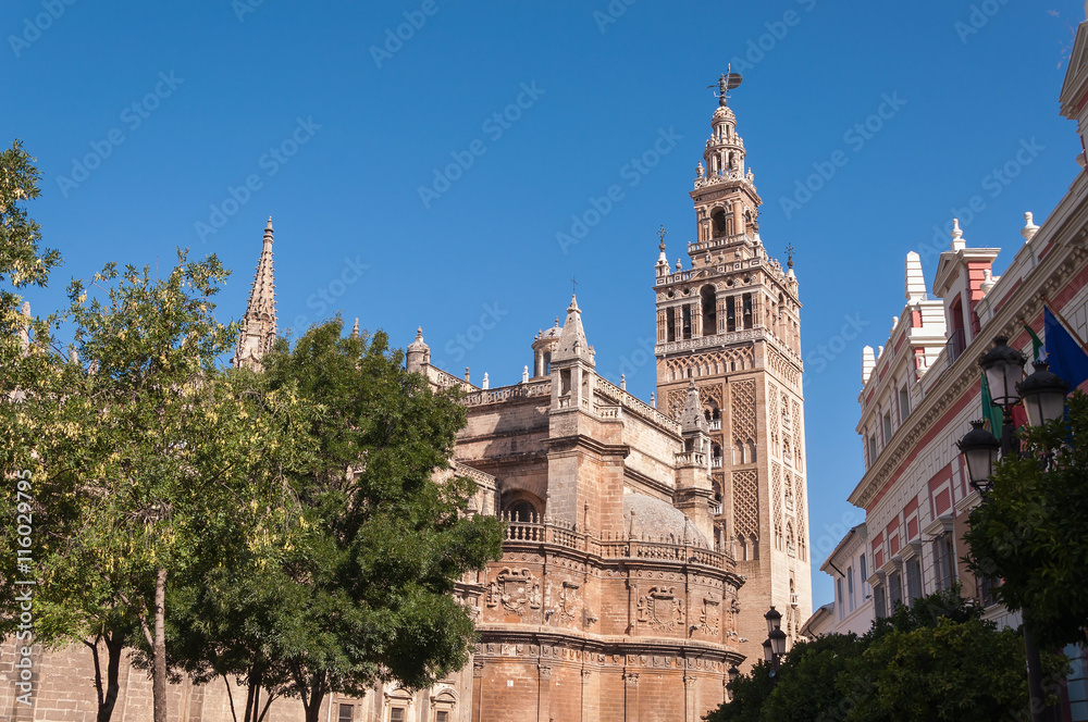 Giralda Tower of the Seville Cathedral