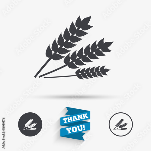 Agricultural sign icon. Gluten free or No gluten