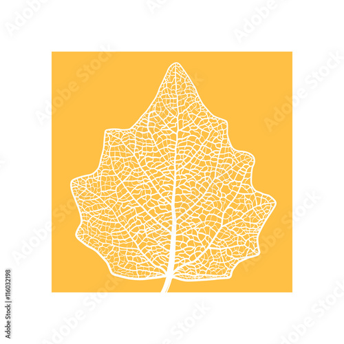 manually drawn leaf skeleton