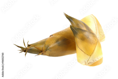 bamboo shoot isolated on white