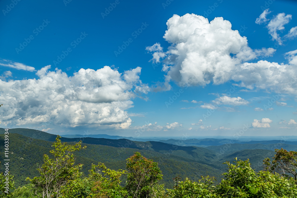 Blue Ridge View