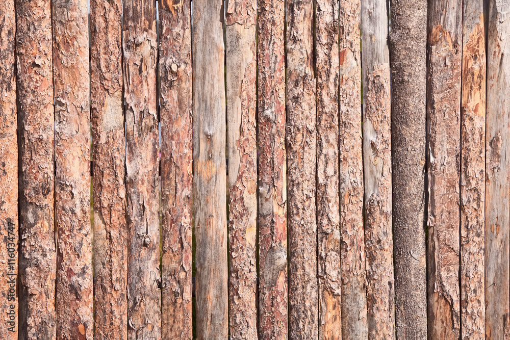 Rural primitive fence from pine logs Rural primitive fence from pine logs