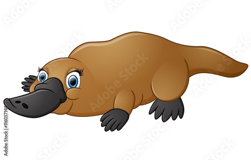 Happy platypus isolated on white background