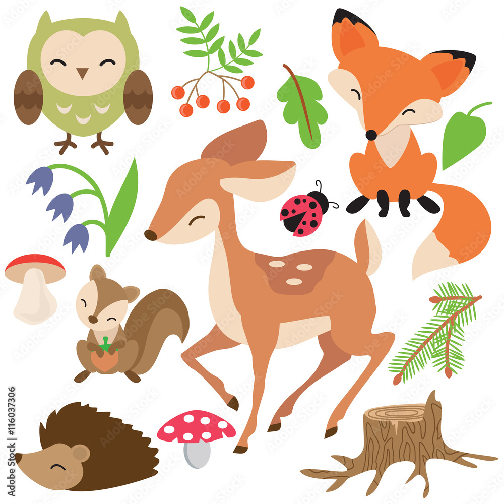 Forest animals vector illustration Forest animals vector illustration