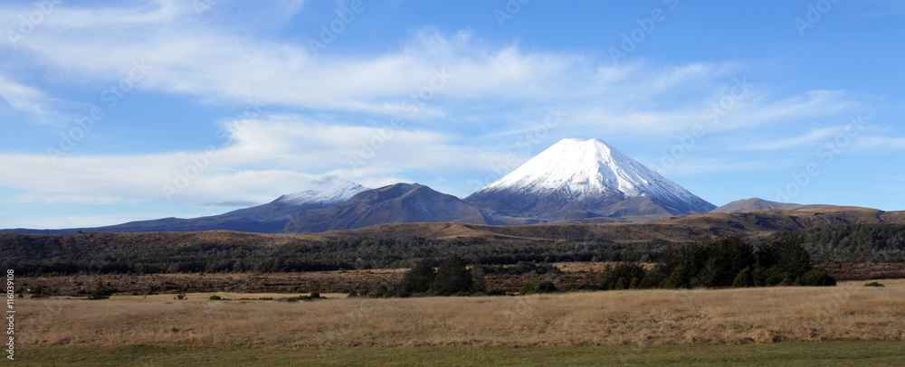 Naklejka premium Panoramic landscape of Mount Ngauruhoe and Mount Tongariro