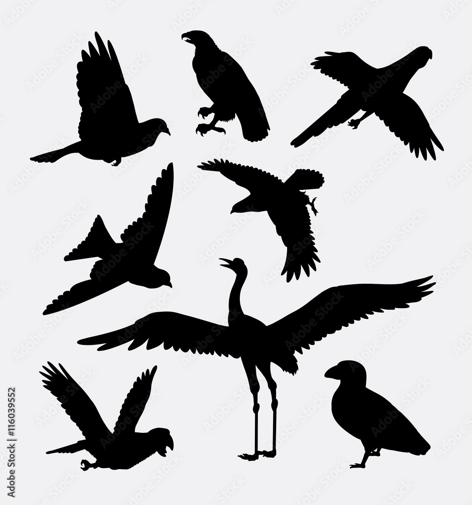Obraz premium Bird activity silhouette. Good use for symbol, logo, web icon, game element, mascot, or any design you want.