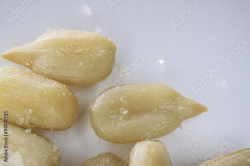 Принти на полотні Salted Sunflower seeds close up shoot