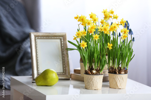 Blooming narcissus flowers and pear fruit on table indoors