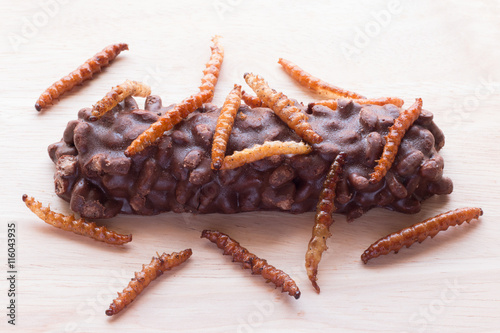 Fried insects - Wood worm, bamboo worm insect crispy and candy c