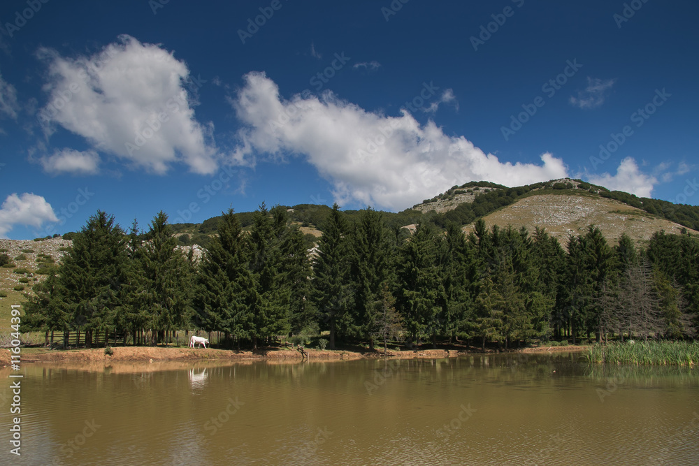 Panoramic view of alpine lake with white cow