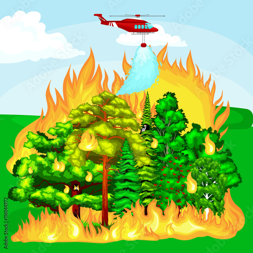 Forest Fire, fire in forest landscape damage, nature ecology disaster, hot burning trees, danger forest fire flame with smoke, blaze wood background vector illustration.Burning tree red and orange