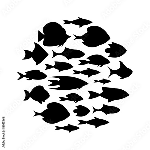 Cartoon fish collection background