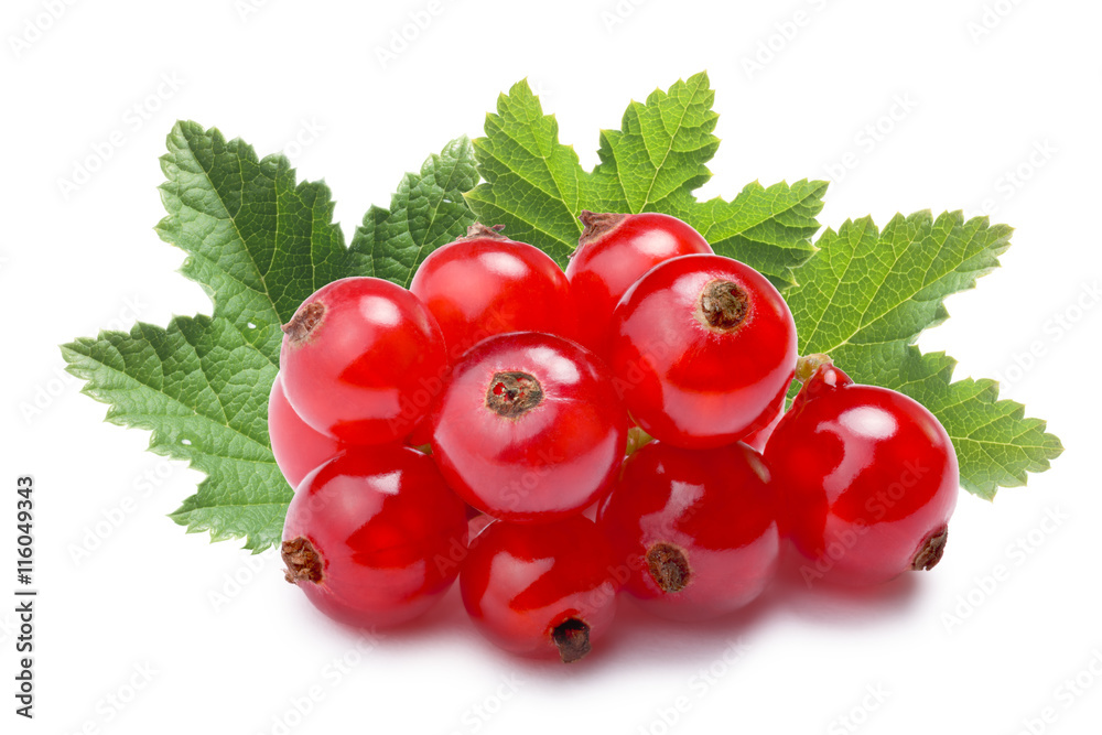 Redcurrant pile (Ribes Rubrum), paths Redcurrant pile (Ribes Rubrum), paths