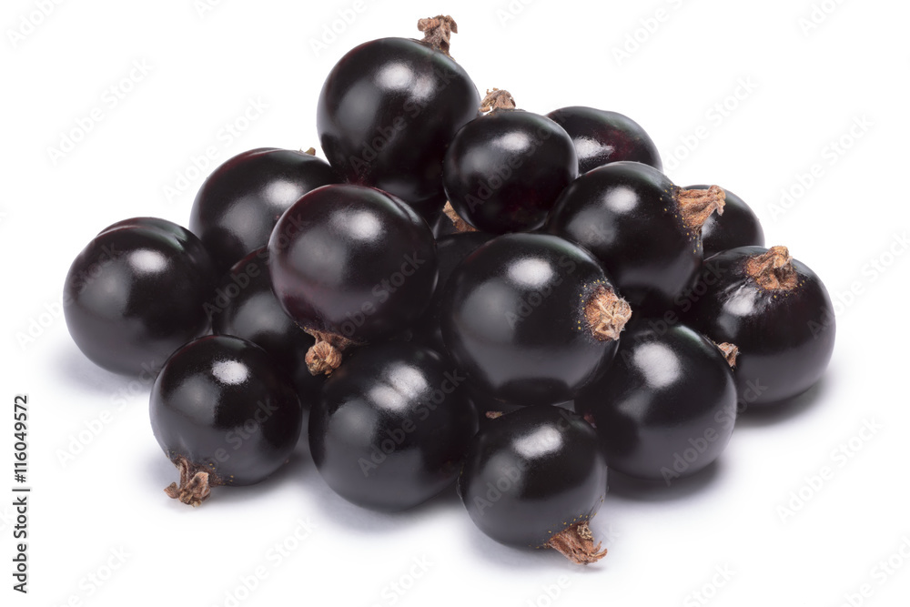 Blackcurrant pile (Ribes Nigrum), clipping paths Blackcurrant pile (Ribes Nigrum), clipping paths