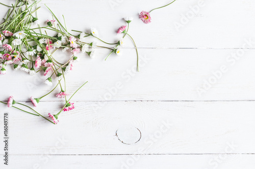 frame of daisy flowers on wooden white background, top view, flat lay