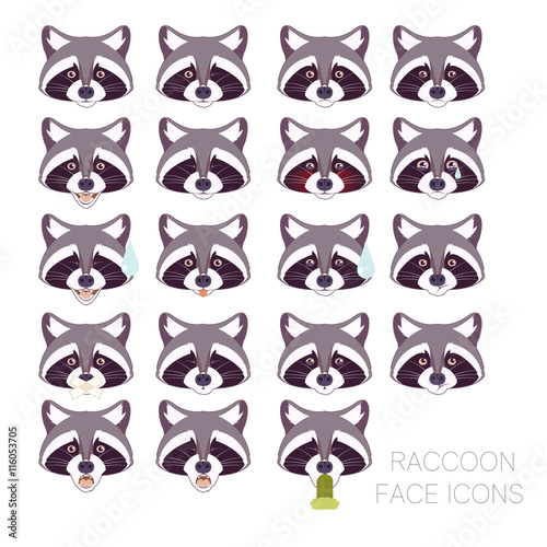 Set of raccoon faces