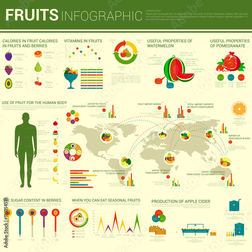 Fruits infographic design with different charts