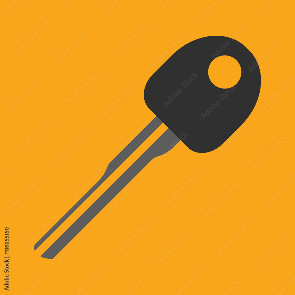 Car Key flat icon on background. Vector illustration. Isolated.