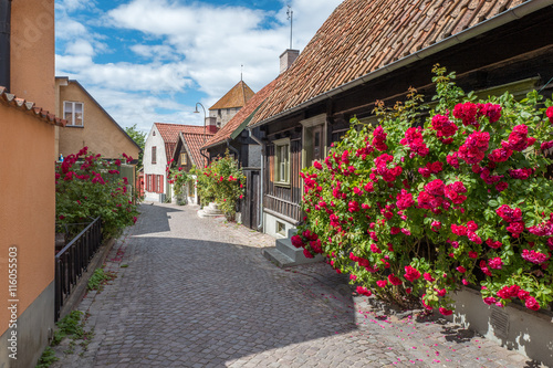 Medieval alley in the historic Hanse town Visby on Swedish Baltic sea island Gotland photo