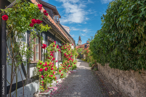 Medieval alley in the historic Hanse town Visby on Swedish Baltic sea island Gotland photo