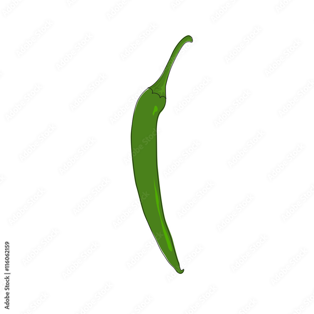 Green Hot Chili Pepper Standing Isolated on White Background, Vegetables Cayenne Pepper , Guinea Spice, Cow-horn Pepper, Aleva, Bird Pepper, Vector Illustration Green Hot Chili Pepper Standing Isolated on White Background, Vegetables Cayenne Pepper , Guinea Spice, Cow-horn Pepper, Aleva, Bird Pepper, Vector Illustration