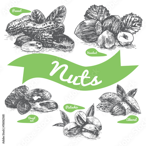 Vector illustration black and white set with nuts