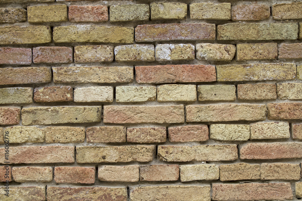 Fototapeta premium Struktur - Ziegelsteinmauer