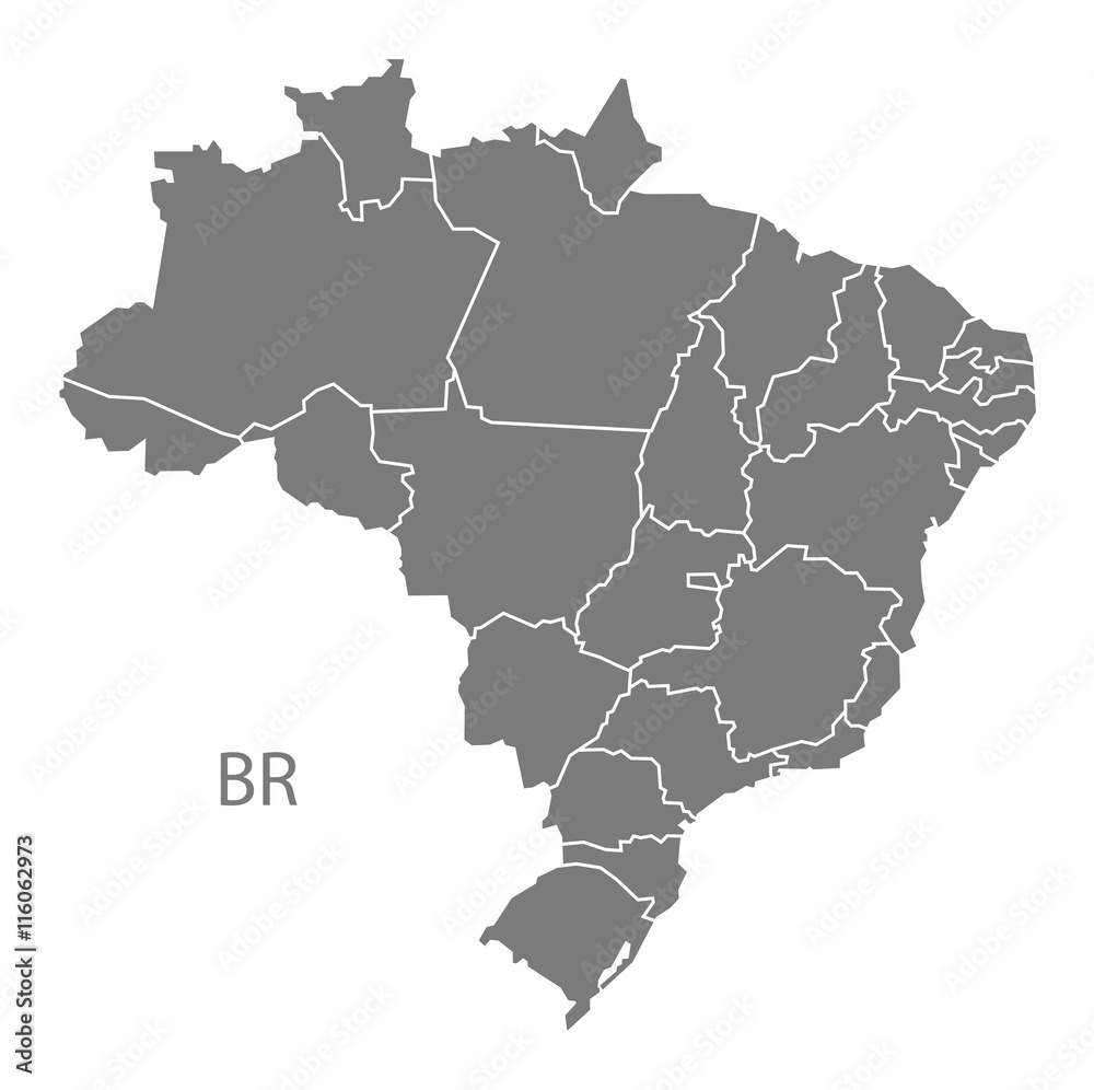 Brazil Map with districts grey