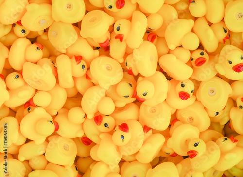 Fotografie Rubber yellow duck toy background