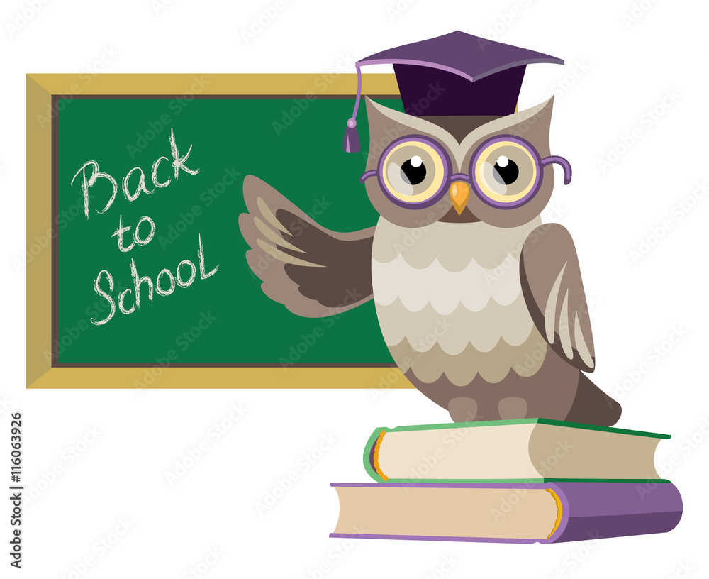 owl with books and blackboard