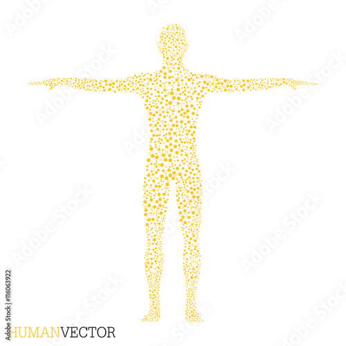 Human. Structure molecule of man. Medicine, science and technology. Scientific Vector for your design
