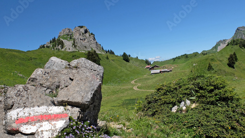 auf der Schynige Platte photo