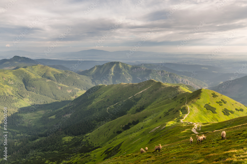 Tatry Zachodnie ,Wołowiec,Rohacz,Jarząbczy wierch,Kończysty Wierch