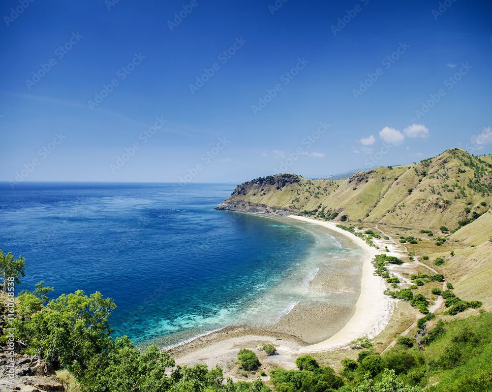 tropical paradise cristo rei beach near dili east timor asia