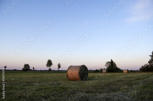 Circles hay in a field