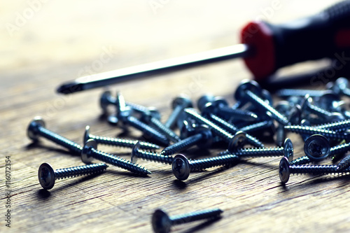 screws and screwdriver Roulette