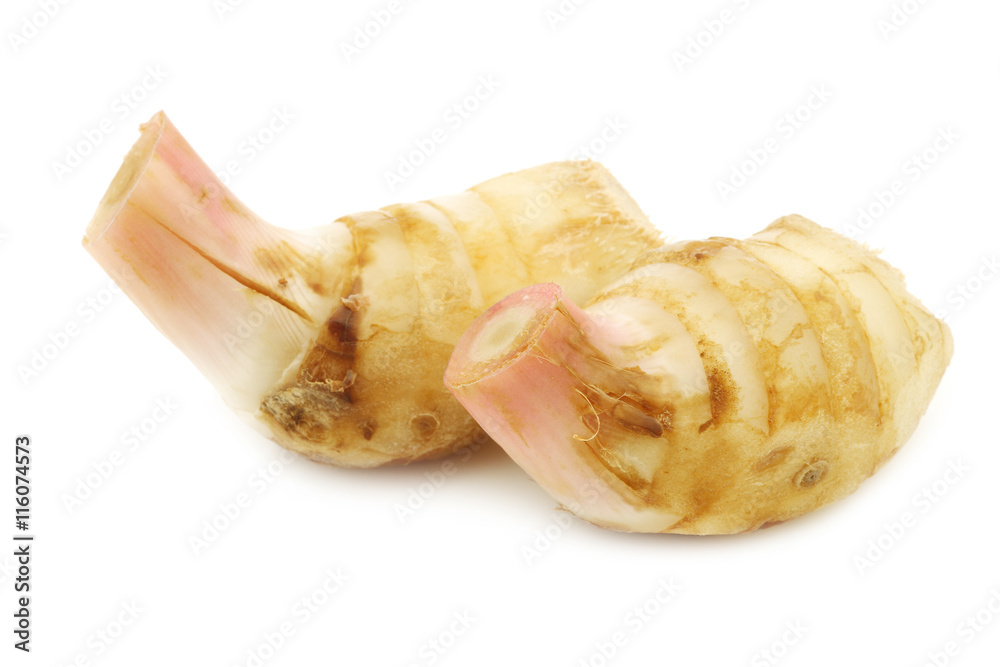 pieces of galangal herb (Siamese ginger) on a white background