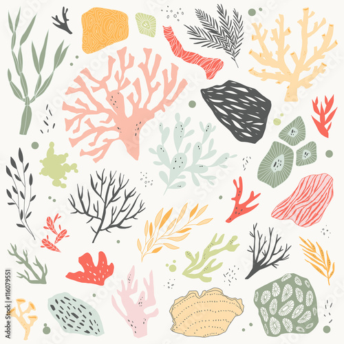 vector Illustration with sea life objects