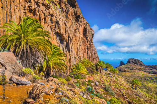 Obraz na płótnie Amazing volcanic scenery with palm trees, Canary Islands, Spain w salonie