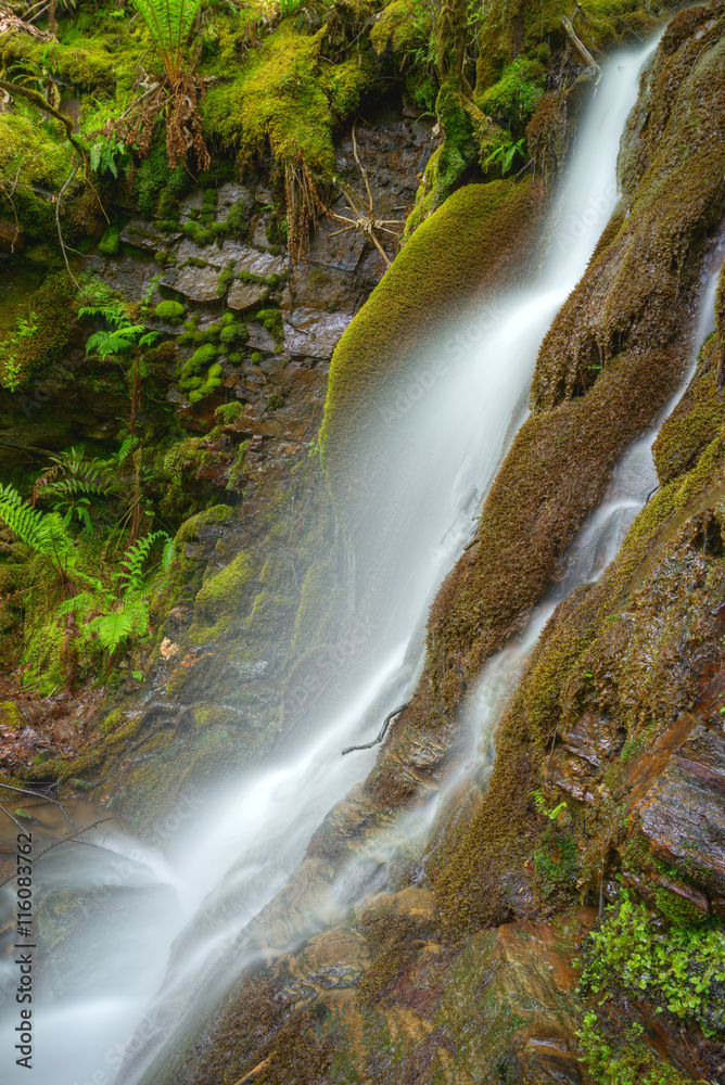 Waterfall in a mossy cliff Waterfall in a mossy cliff