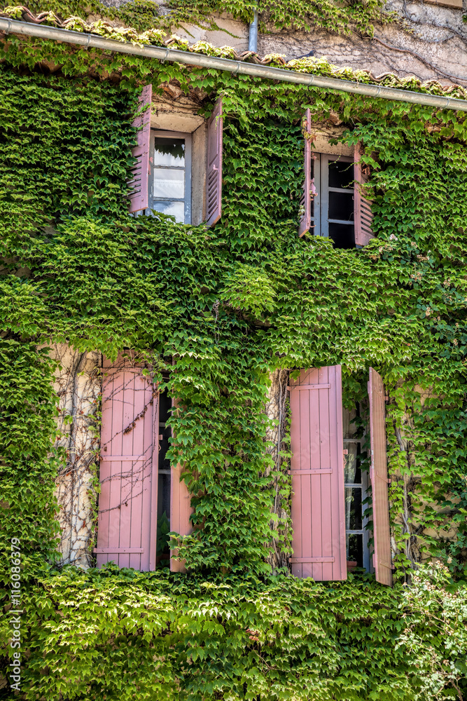 Old house with green leaves in Provence, France