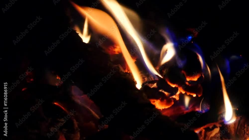 Bright burning wood in campfire. Glowing wood logs and coals in fireplace. Raised fire. Bright burning wood in campfire. Glowing wood logs and coals in fireplace. Raised fire.