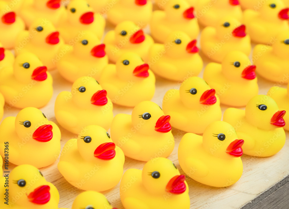 Group of rubber yellow duck toy, Selective focus and close up image Group of rubber yellow duck toy, Selective focus and close up image