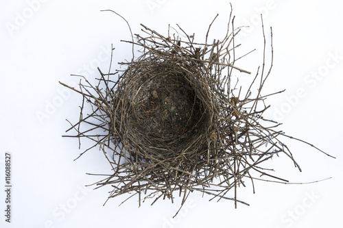 Empty nest on a white background photo