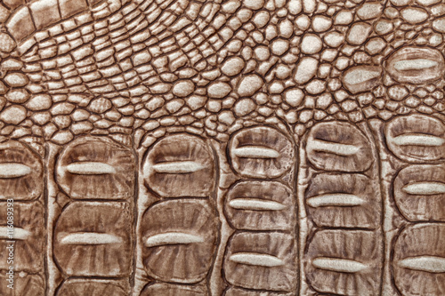Brown leather texture background. Closeup photo. Reptile skin.